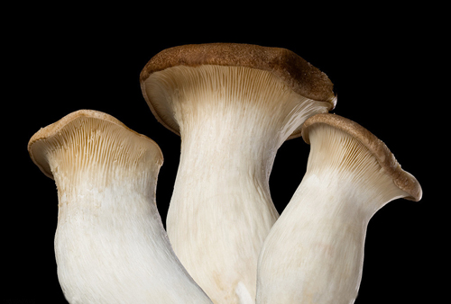 天源農(nóng)副產(chǎn)品-鎮(zhèn)江配送公司-綠色新鮮蔬菜的搬運(yùn)者