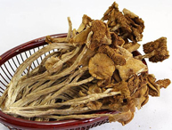 茶樹(shù)菇批發(fā)價(jià)格